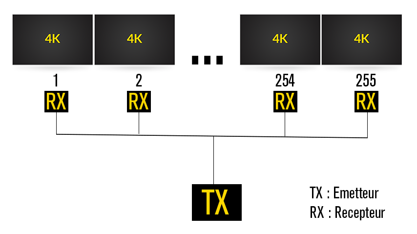 BeMatik - Extendeur répartiteur HDMI sur LAN Rx